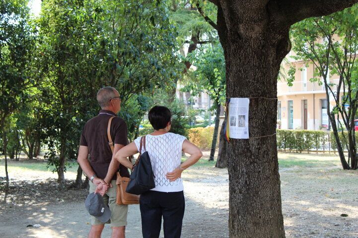 Galleria: immagine 6 di 8