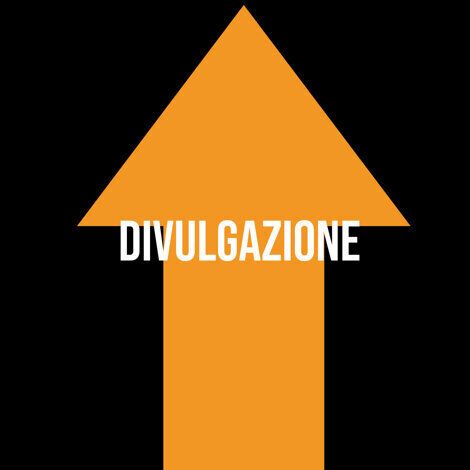 Divulgazione